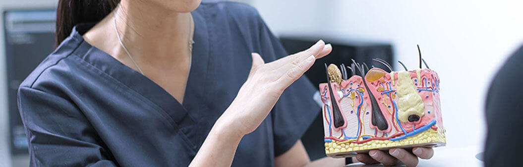 Veterinary Internal Medicine