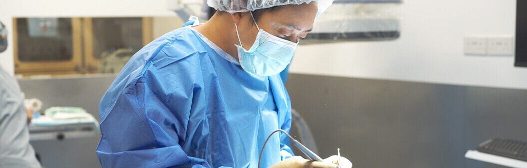 Hip Replacement Surgery for Dogs