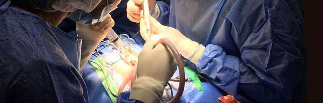 Spinal Surgery for Pets