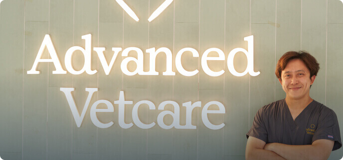 Veterinaran Singapore - Veterinary Centre