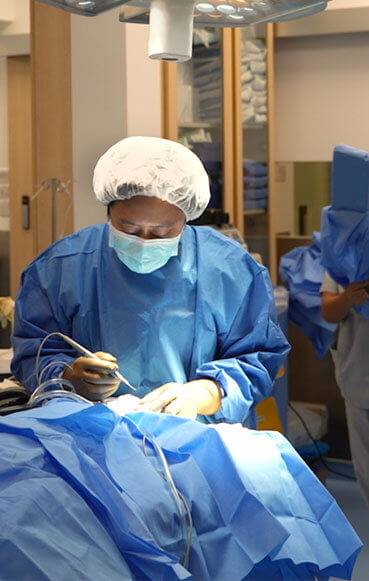 Vet Surgeon Dr Nicholas Woo